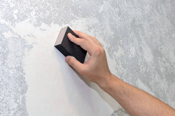 Best Black Mold Removal  in East Farmingdale, NY