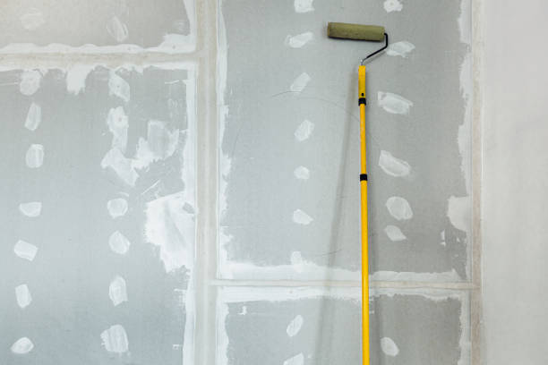 Best Biohazard Mold Removal  in East Farmingdale, NY