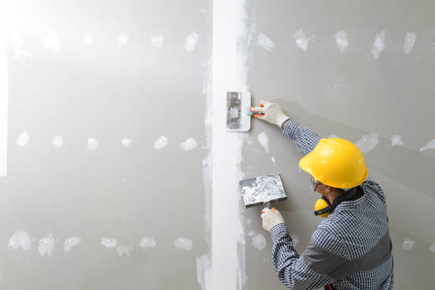 Best Mold Damage Restoration  in East Farmingdale, NY