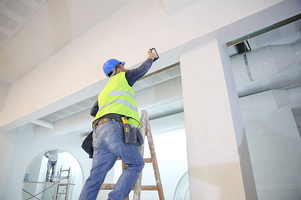 Best Basement Mold Removal  in East Farmingdale, NY