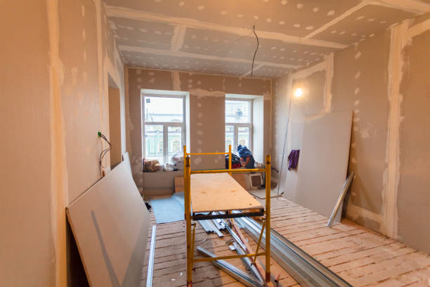 Reliable East Farmingdale, NY Mold Removal Solutions