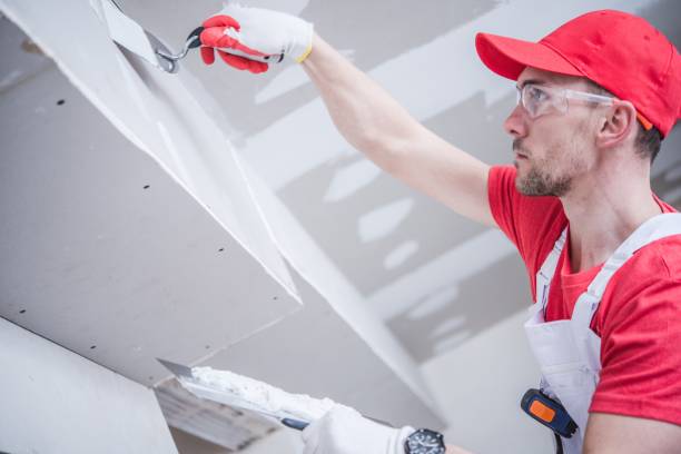 Best Mold Odor Removal Services  in East Farmingdale, NY